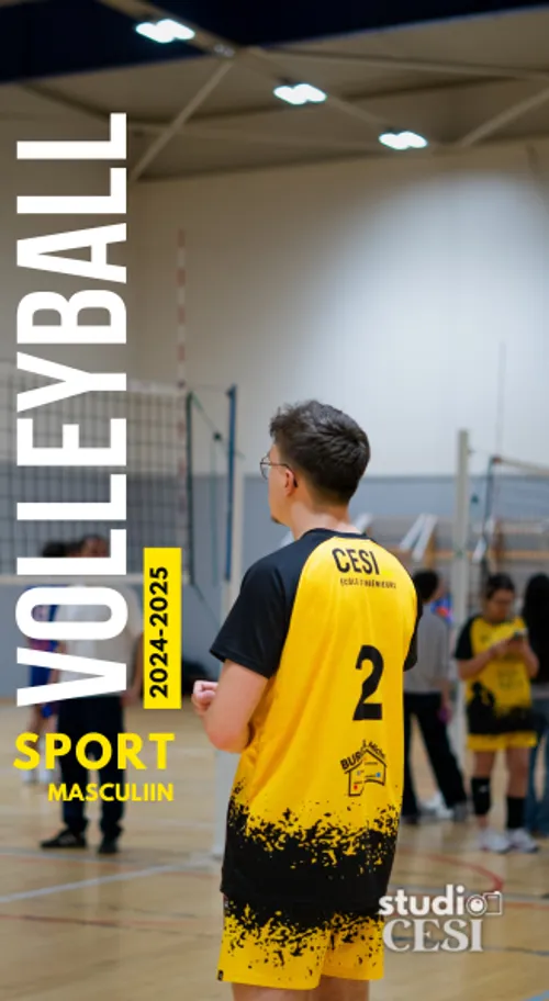 Volley 11/02/2025